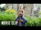 Peter Rabbit - Matchy Matchy - Starring James Corden & Margot Robbie - At Cinemas March 16