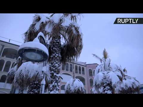 Heavy Snowfall Blankets Beaches and Palm Trees on Italy's Adriatic Coast