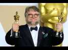 Guillermo del Toro announces divorce