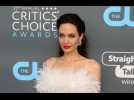 Angelina Jolie not interested in dating