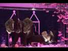 Inside Khloe Kardashian's elephant-themed baby shower