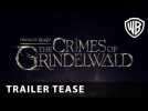 #WandsReady - Fantastic Beasts: The Crimes of Grindelwald Trailer Tease