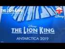 THE LION KING MUSICAL | THE LION KING: Coming to Antarctica in 2019 | Official Disney UK
