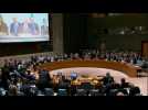 UN Security Council meets to discuss response to Syria attack
