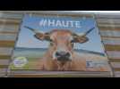 Final preparations at French agriculture show