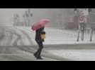 Spring snow storm slams Washington - Label : AFPTV - First images - Category : Science