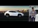 Lexus UX Reveal at Geneva Motor Show