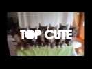 Watch video of Top Cute Cats - Top cute - cats - Label : cl.playari@gmail.com -