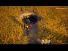 Vido Assassin's Creed Origins - Le trsor de Nfertiti