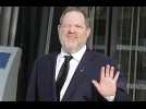 The Weinstein Company set to declare bankruptcy