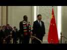 Zimbabwe's Mnangagwa meets Xi Jinping in Beijing