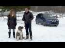 Vido Nissan Rogue Dogue : un VUS conu pour les chiens!