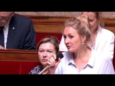 Sexisme à l'Assemblée : un élu imite une chèvre quand une députée prend la parole