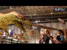 Colossal Animatronic T-Rex Brings Jurassic Roaring to Life