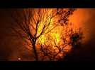 France: large fires continue to rage in Corsica - Label : AFPTV - First images - Category : News