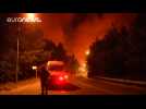 Dry winds and hot weather stoke 90 fires in Greece