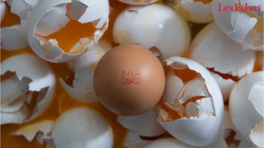 Illustration pour la vidéo La crise des œufs contaminés prend de l’ampleur en Europe 