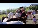 Canadian Farm Offers Dance Classes with Alpacas