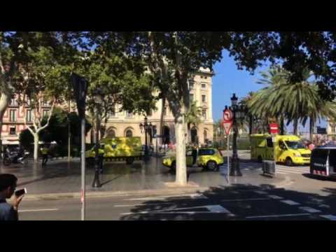 Van hits pedestrians in Barcelona 'terror attack'