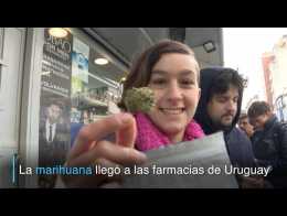 La marihuana llegó a farmacias de Uruguay