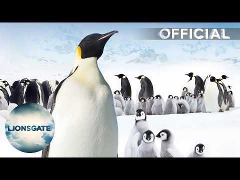 March of the Penguins 2 - Trailer – On Digital Download, DVD & Blu-ray Nov 5