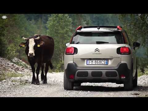 Citroen C3 Aircross to discover the Friulian Dolomites