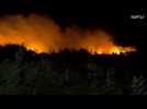 Wildfires near Pisa force evacuation of nearly 700