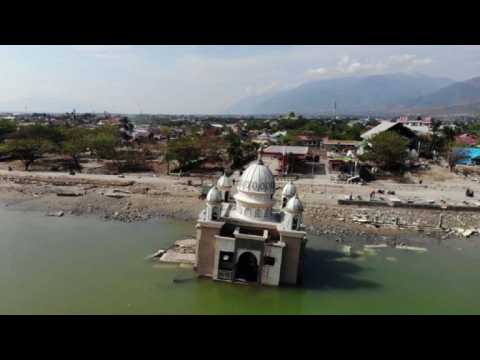 Gas station lines and floating mosques after Palu quake-tsunami