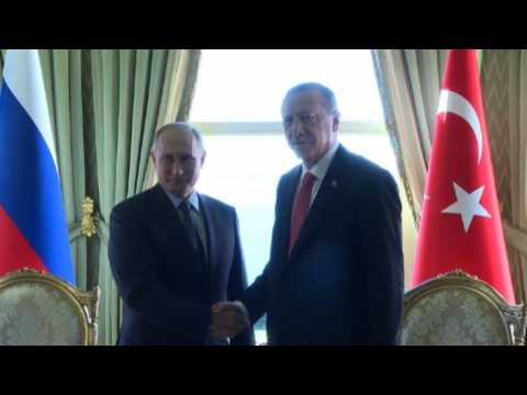 Putin and Erdogan hold meet at Syria summit