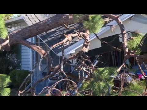 Fallen trees, damaged buildings and debris after Michael