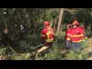 'Zombie' storm Leslie smashes into Portugal - Label : AFPTV - First images - Category : News