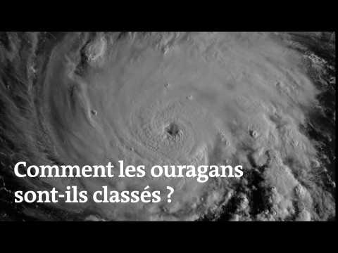 Les Vidéos Nature Sciences Et Avenir - Sciences Et Avenir