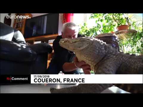 400 scaly creatures under one roof: meet France's reptile man