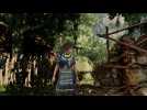 Vido Shadow of the Tomb Raider : dfi Pas de virgule