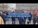 Le Havre. manifestation contre la loi immigration