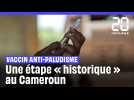 Paludisme : L'introduction du vaccin au Cameroun, un « tournant » dans la lutte contre cette maladie