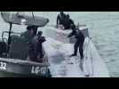 Deux semi-submersibles remplis de cocaïne interceptés dans le Pacifique