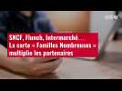 VIDÉO. SNCF, Flunch, Intermarché... La carte « Familles Nombreuses » multiplie les partenaires