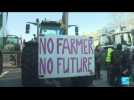 Europe : la colère des agriculteurs s'intensifie