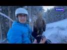 Morzine : skier avec les plus grands aigles d'Europe