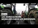 REPLAY - Les agriculteurs mobilisés dans les ardennes