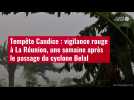 VIDÉO. Tempête Candice : vigilance rouge à La Réunion, une semaine après le passage du cyclone Belal