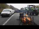 La mobilisation des agriculteurs s'étend en Europe