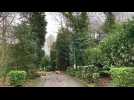 Arbres coupes Epsm bailleul