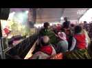 VIDÉO. Carnaval de Granville : le bal des enfants affiche complet