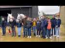 Les chevaux Boulonnais prêts à monter à Paris pour le traditionnel Salon international de l'agriculture