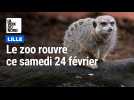 Sortir : le zoo de Lille rouvre samedi