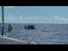 VIDÉO. Arkéa Ultim Challenge : Anthony Marchand croise des bateaux de pêche en plein Atlantique