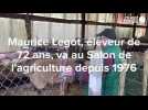 VIDEO : Au salon de l'Agriculture depuis 1976, il élève en Anjou des moutons en voie de disparition