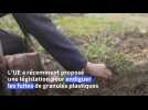 Dans la campagne belge, l'insidieuse pollution des granulés plastiques